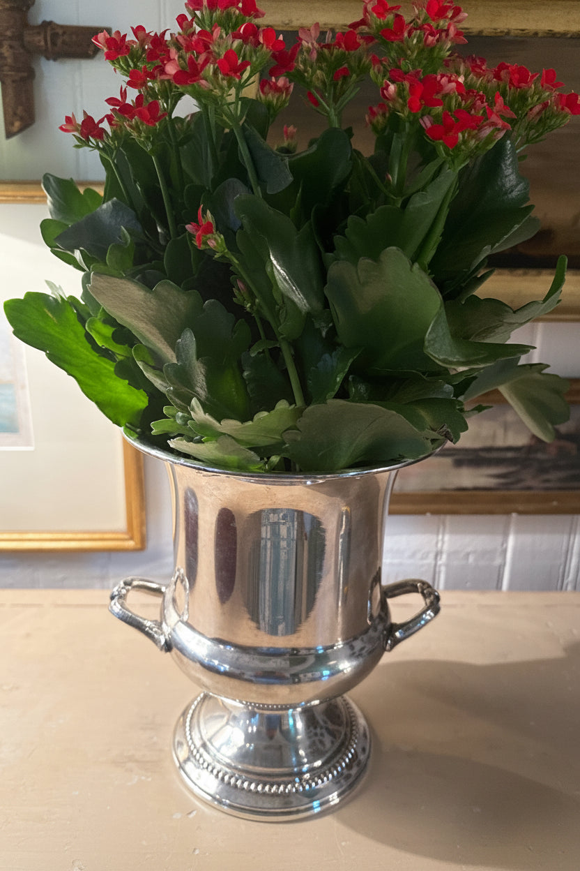 Silver Plate Champs Bucket