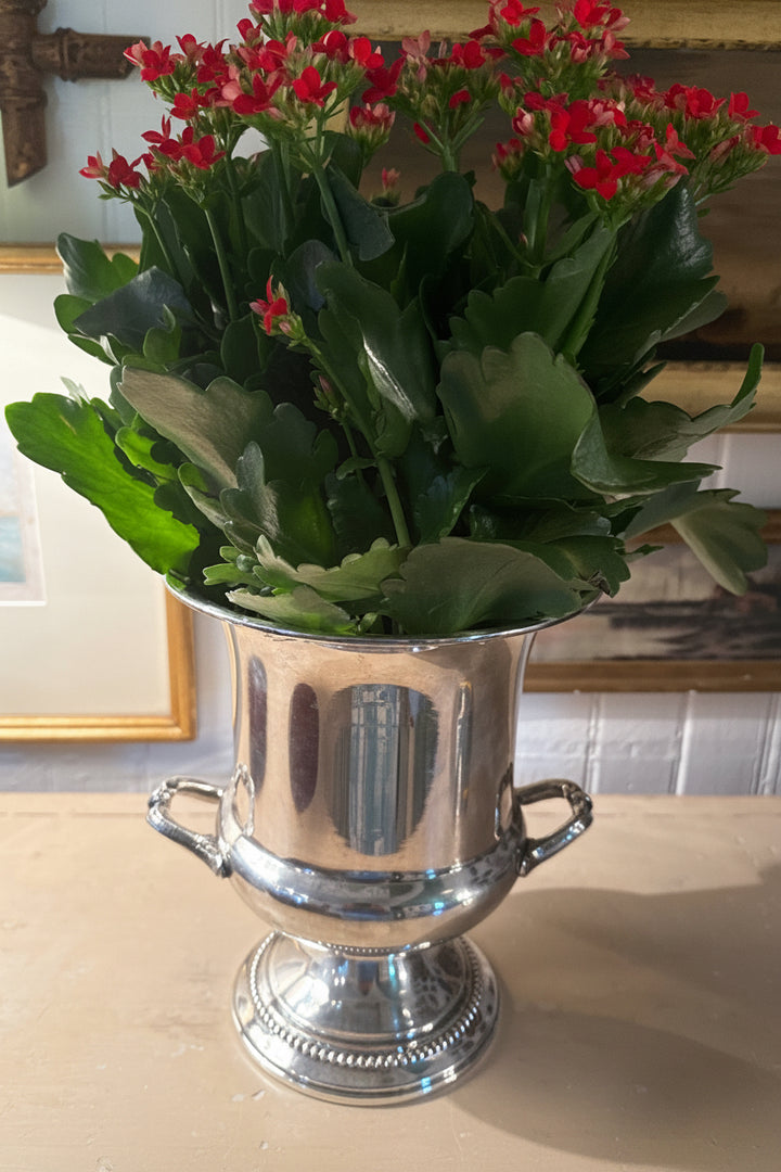 Silver Plate Champs Bucket