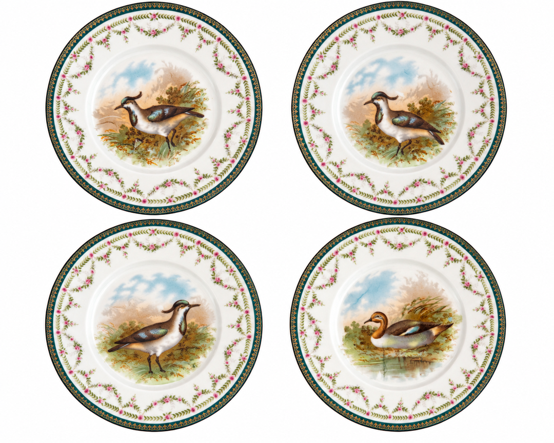 Set of 4 antique bird  plates