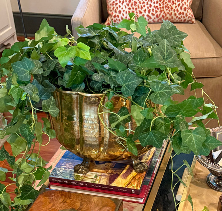 Brass planter claw footed with lion head handles