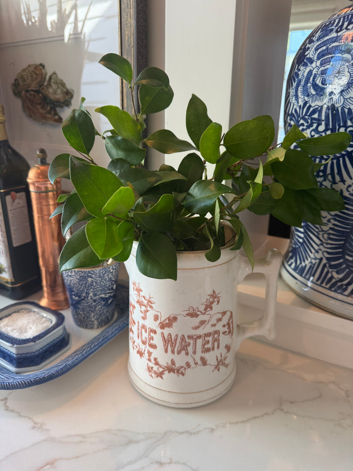 Victorian Ice Water Pitcher