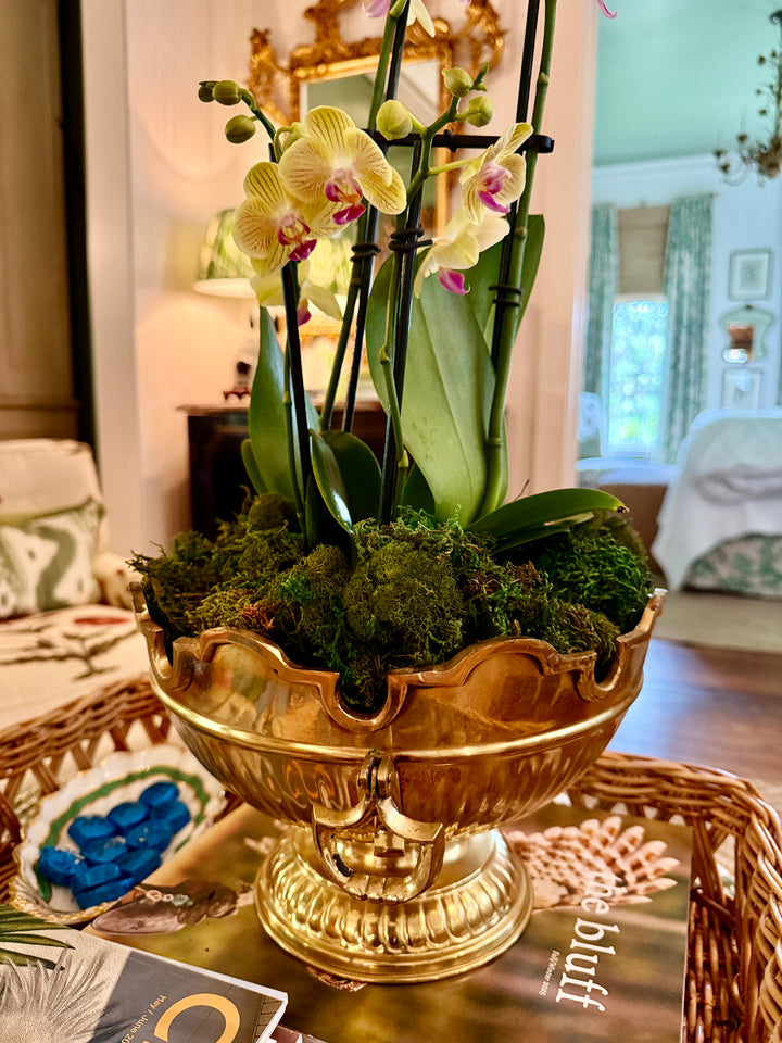 Scalloped Brass Bowl with Handles