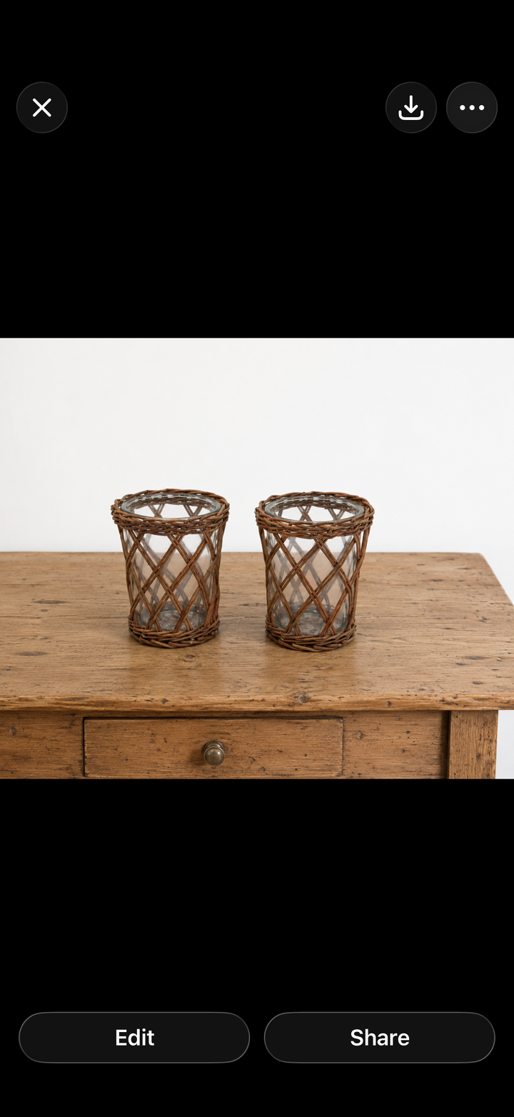 Twig Vase set of 2