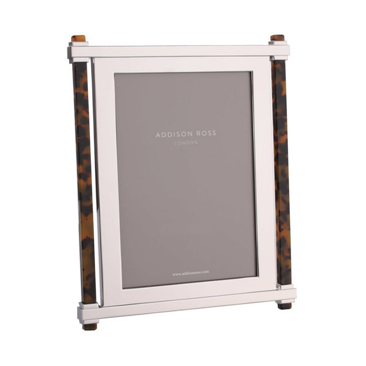 Tortoise & Silver Pillar Frame