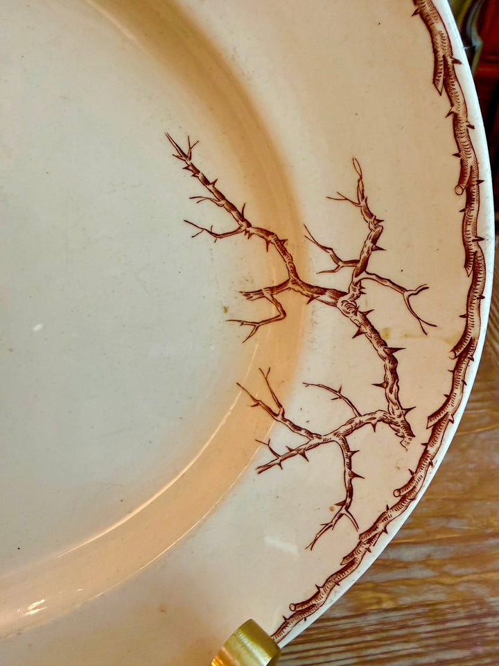 Brown & white Transferware platter