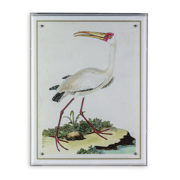 Heron Print IV in Acrylic Frame