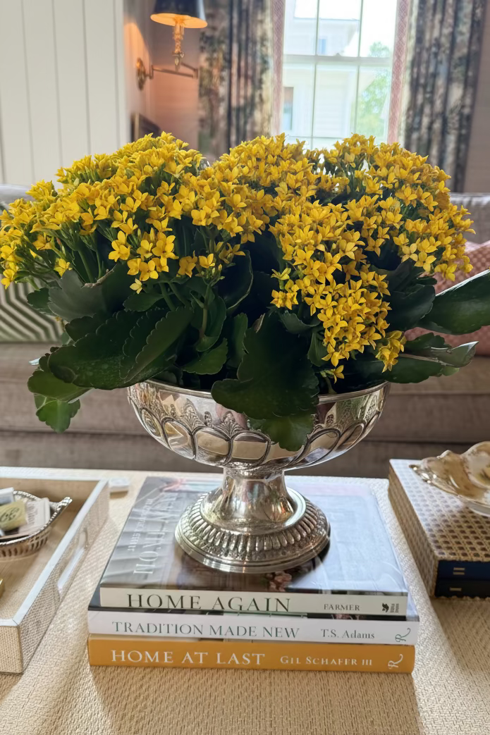 Pedestal Centerpiece Bowl