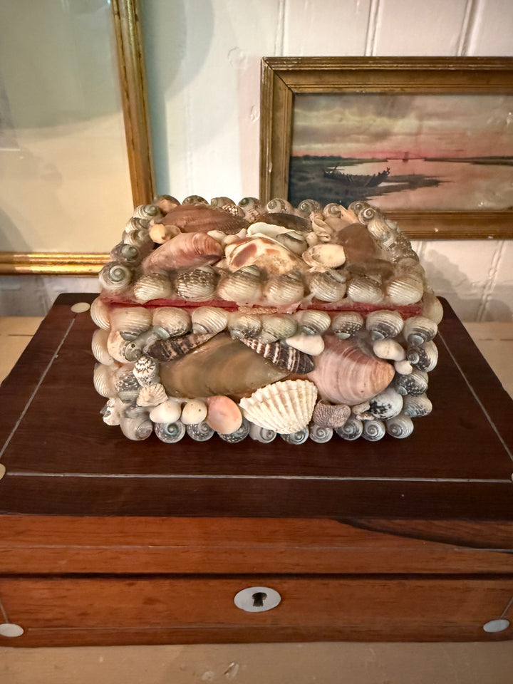 Vintage Shell Box