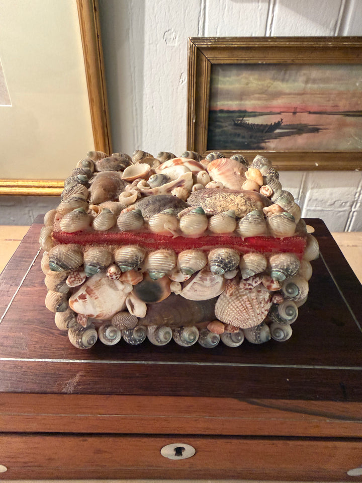 Vintage Shell Box