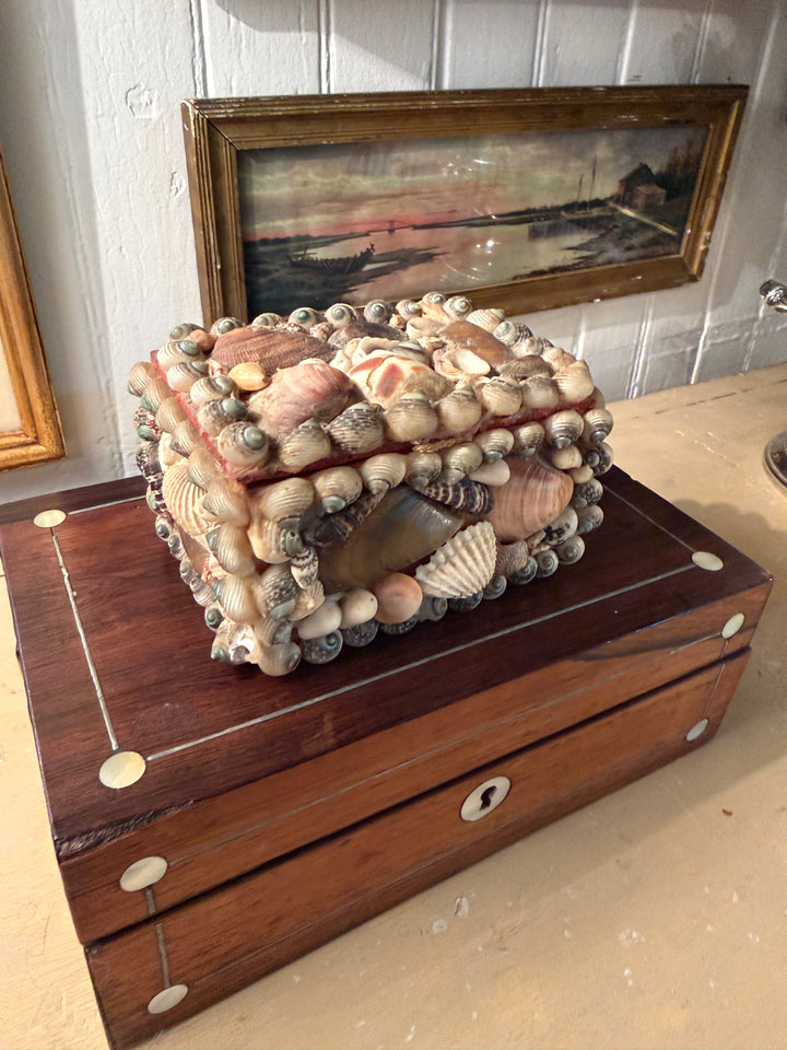 Vintage Shell Box