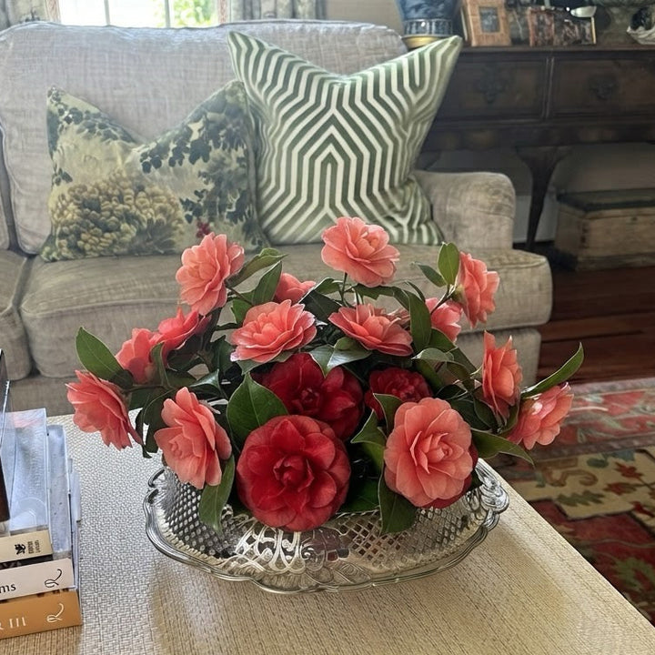 pedestal gallery centerpiece bowl