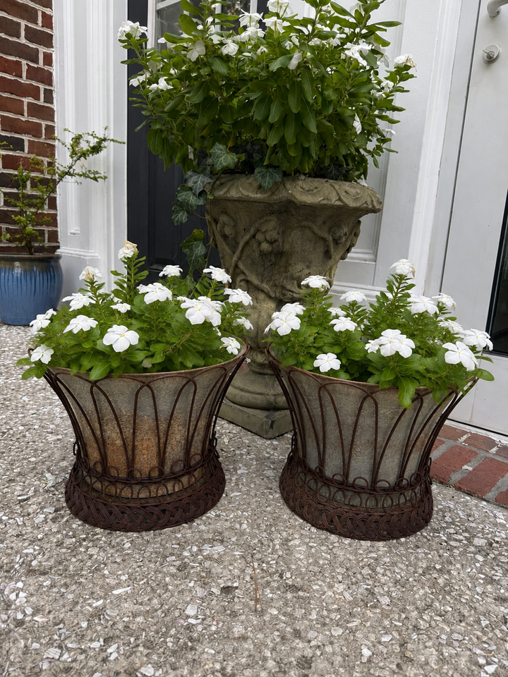 Pair of French style wire planters