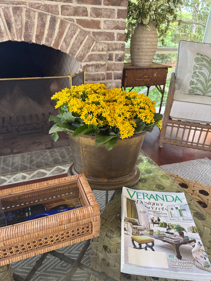 Antique Brass Oval Planter
