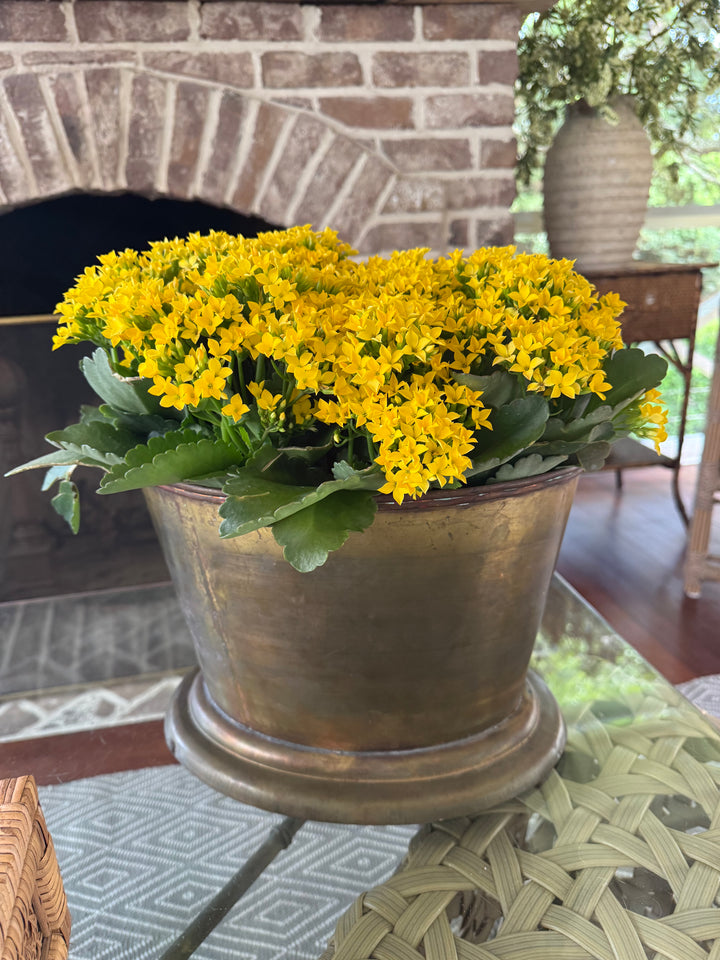 Antique Brass Oval Planter