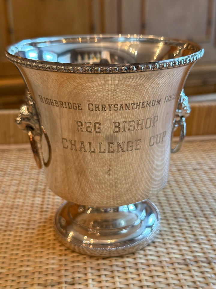 Petite Silver Trophy Cup