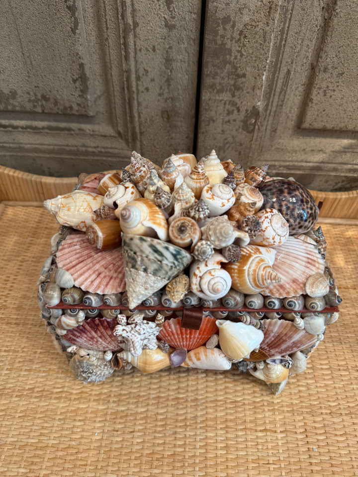 Large Footed Shell Box