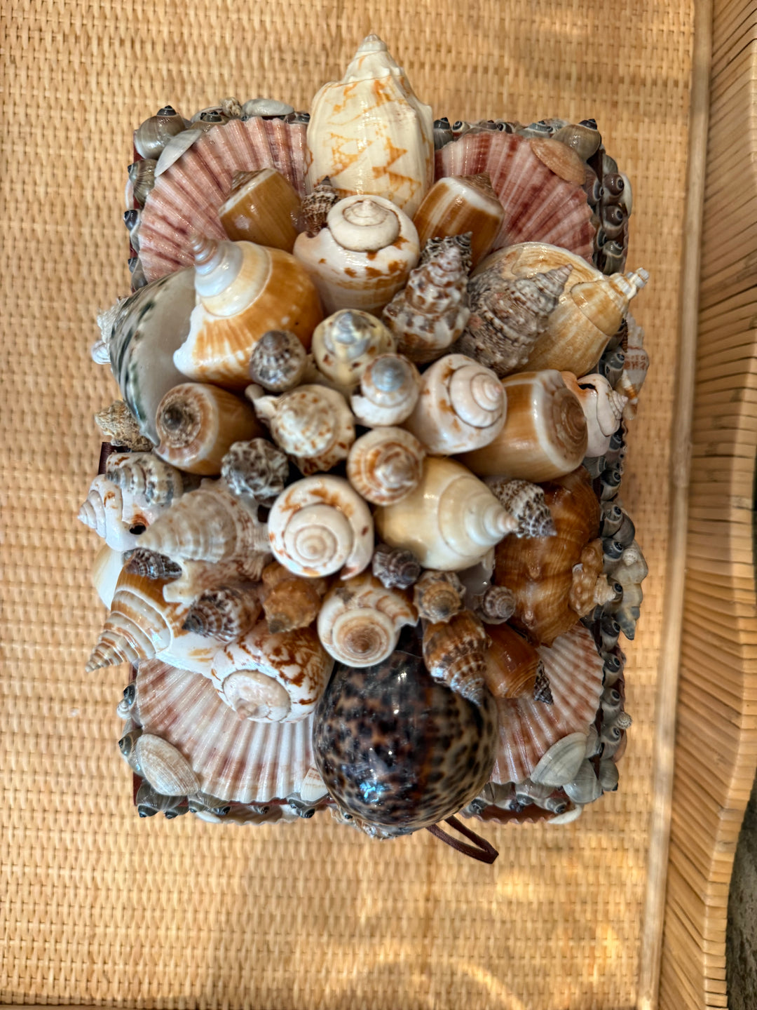 Large Footed Shell Box