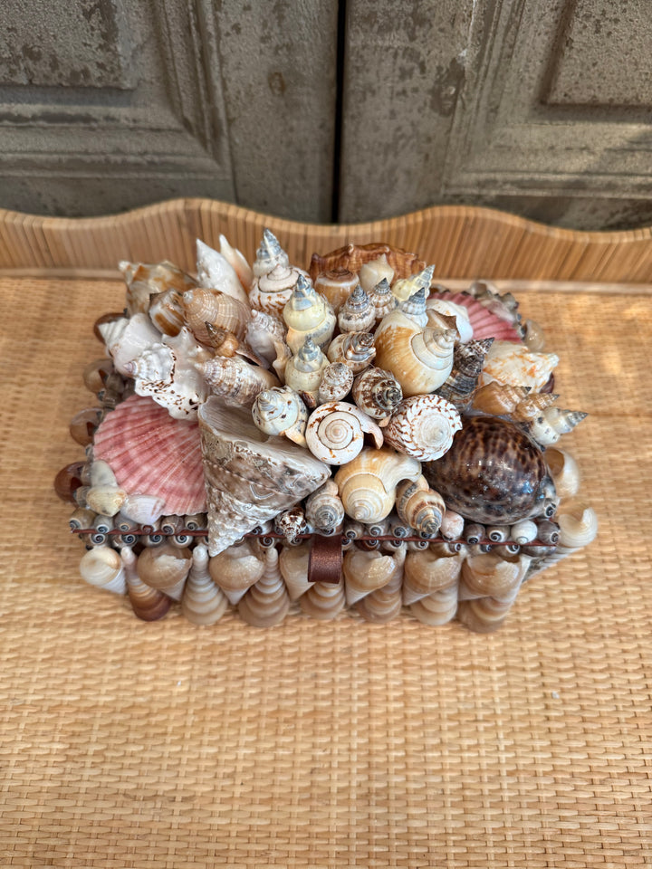 Decorative Shell Box