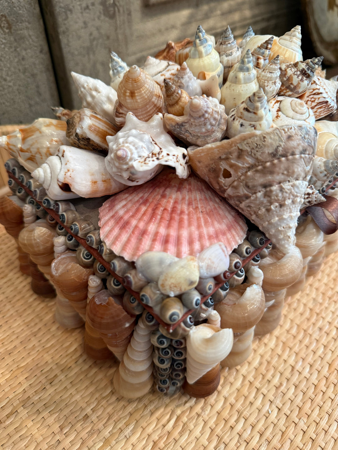 Decorative Shell Box