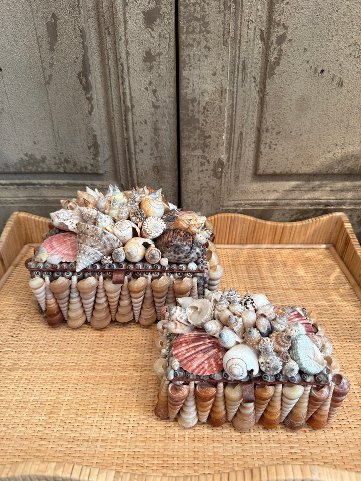Decorative Shell Box