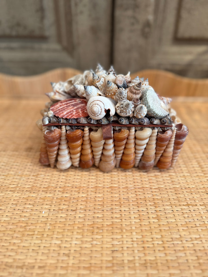 Decorative Shell Box