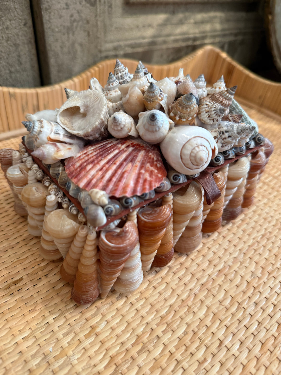 Decorative Shell Box