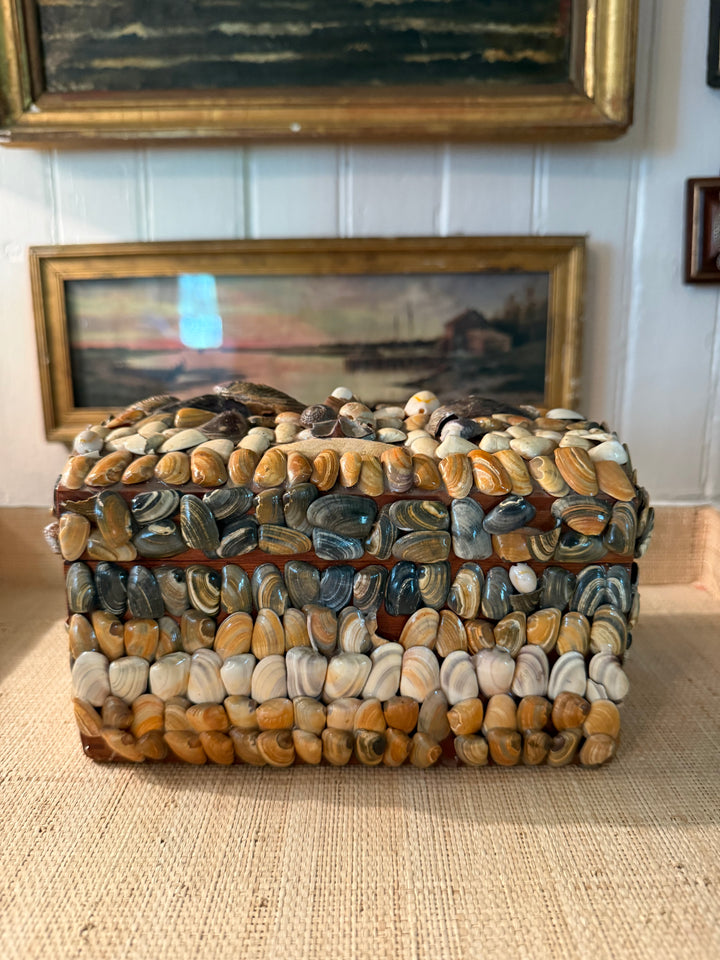 Vintage Shell Box
