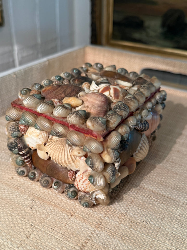Mini Vintage Shell Box
