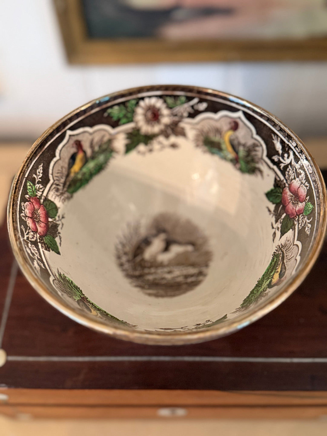 Precious bird Bowl