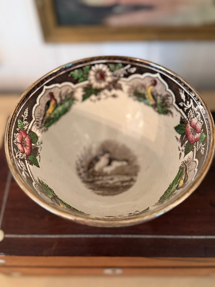 Precious bird Bowl