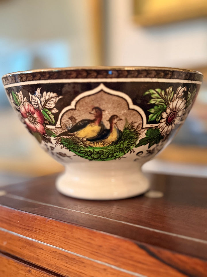 Precious bird Bowl