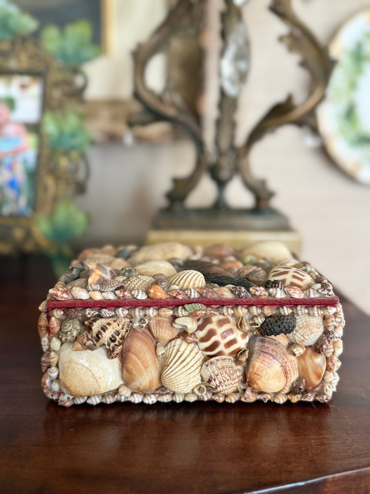 Vintage Shell Box