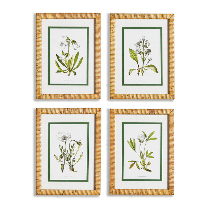 White Floral Series