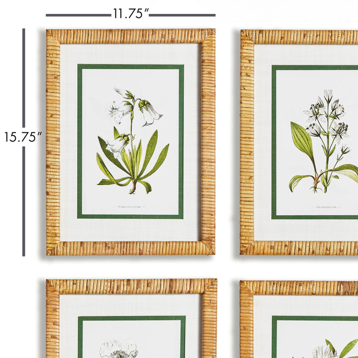 White Floral Series