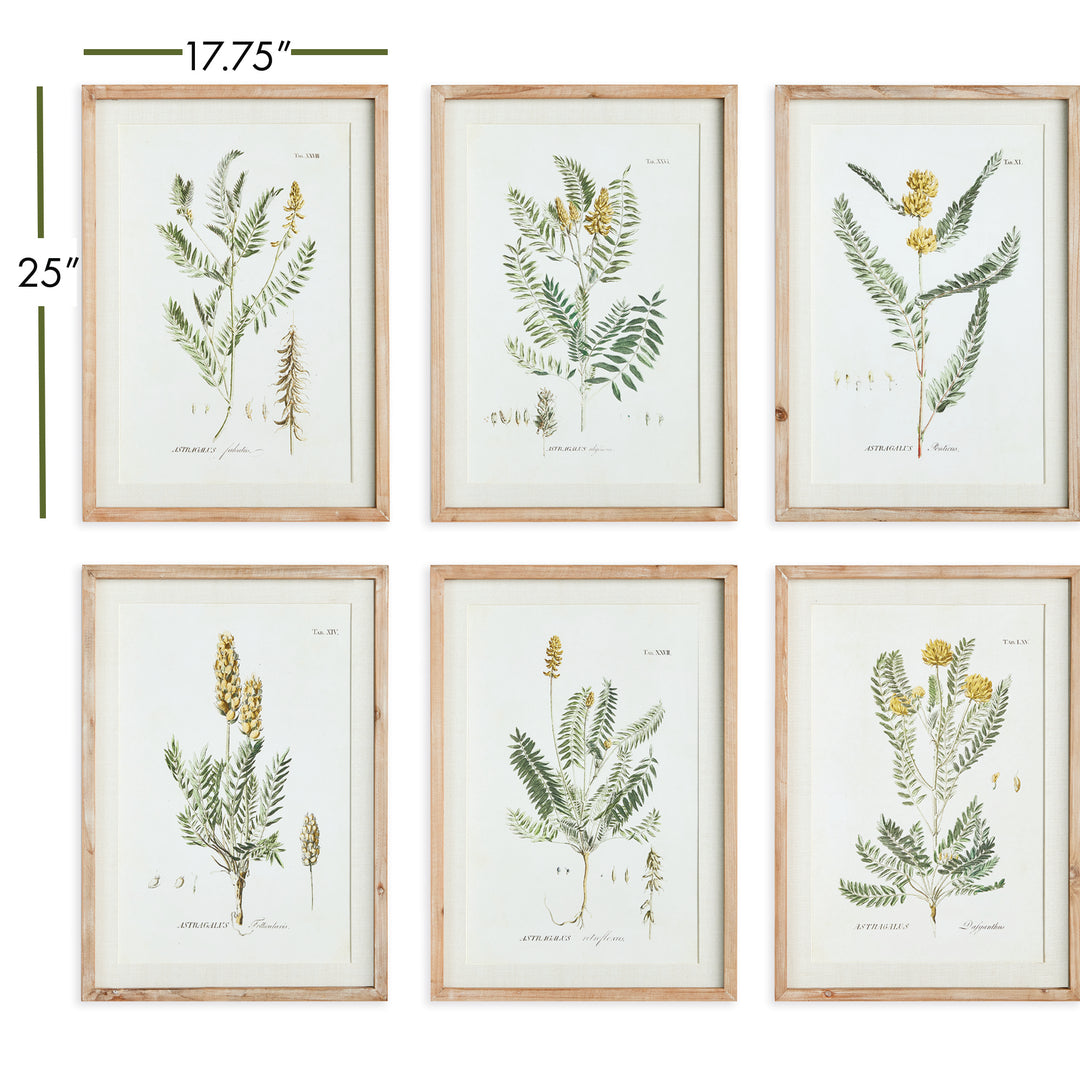 Yellow Blooms Series