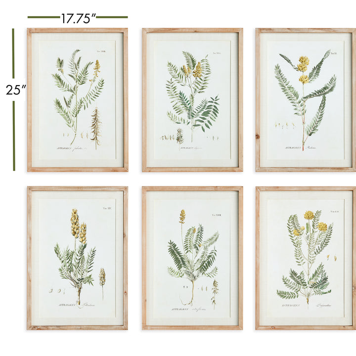 Yellow Blooms Series