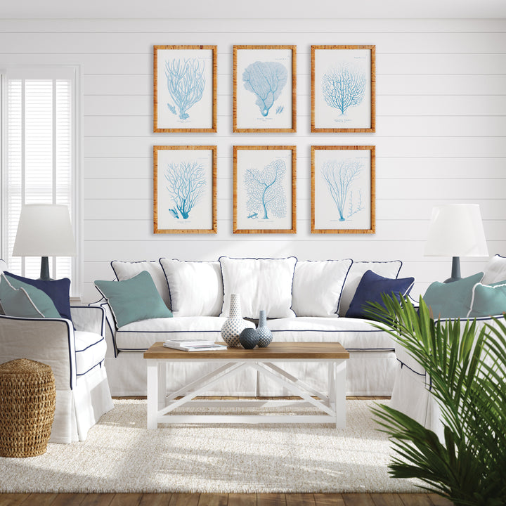 Blue Sea Coral Series