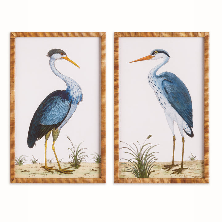 Blue Heron Pair