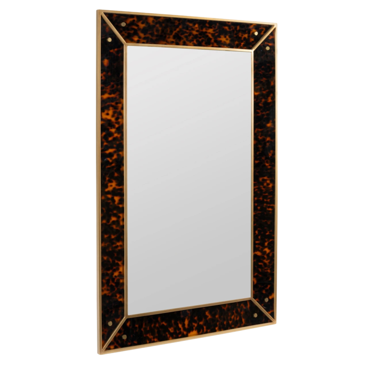 Acrylic Tortoise Mirror