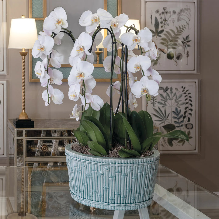 Bamboo Planter - Aqua