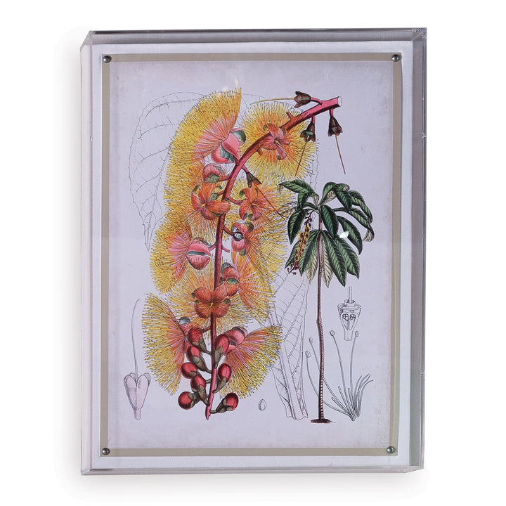 Floral Print I in Acrylic Frame