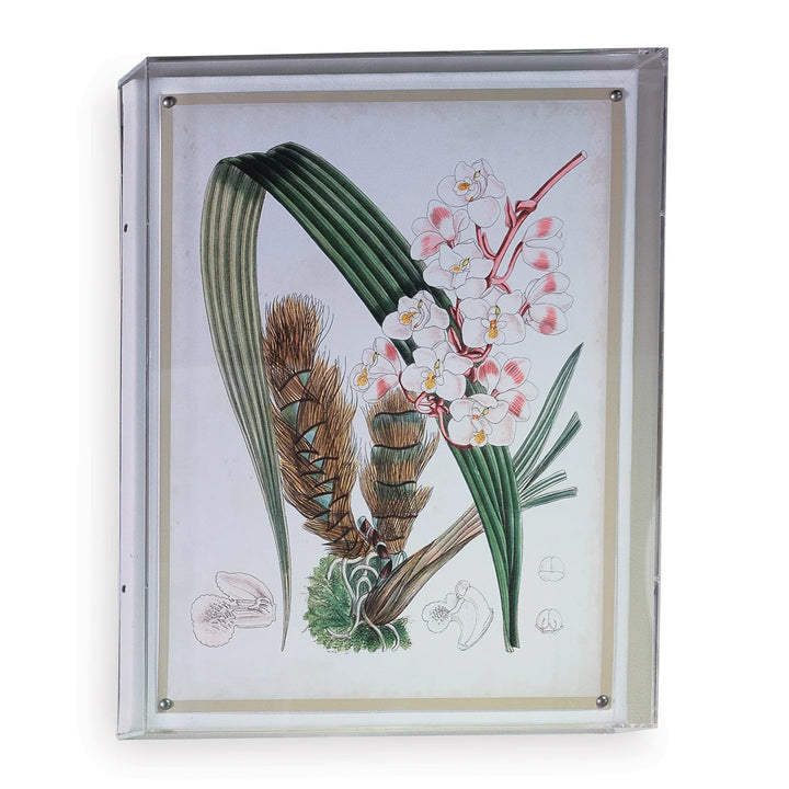 Floral Print II in Acrylic Frame