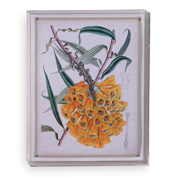 Floral Print V in Acrylic Frame