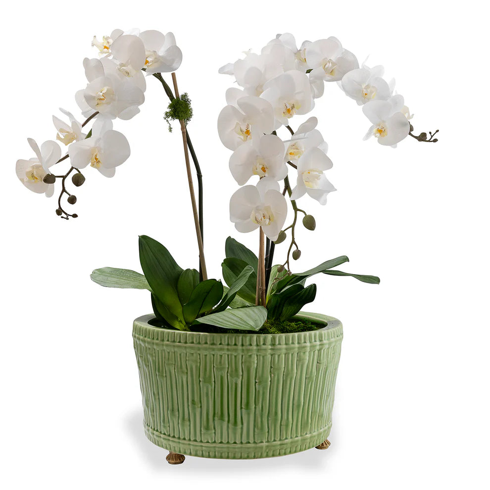 Bamboo Planter