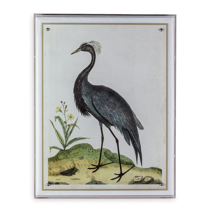 Heron Print II in Acrylic Frame