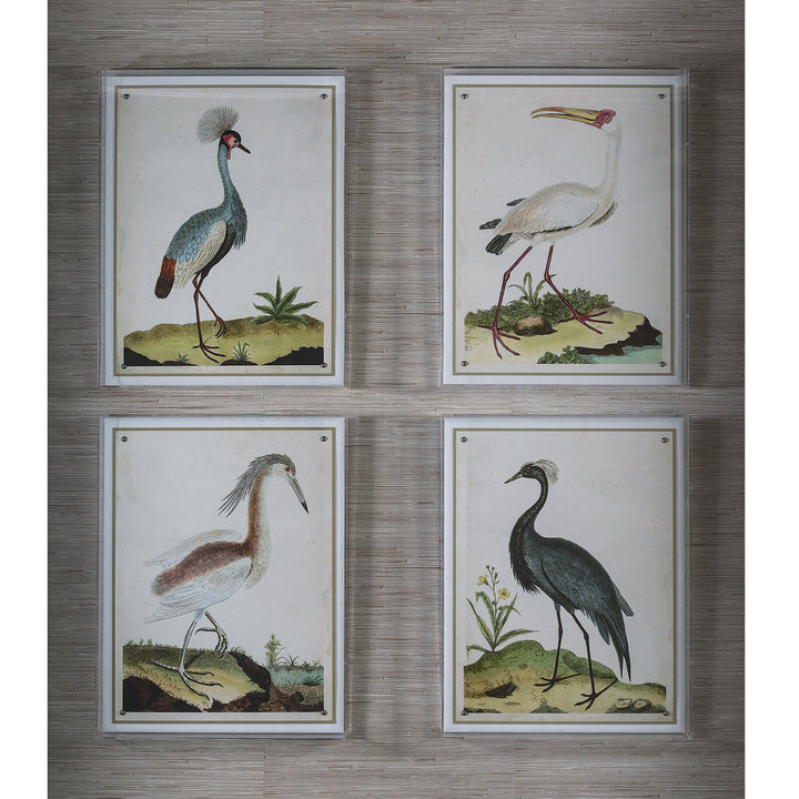 Heron Print III in Acrylic Frame