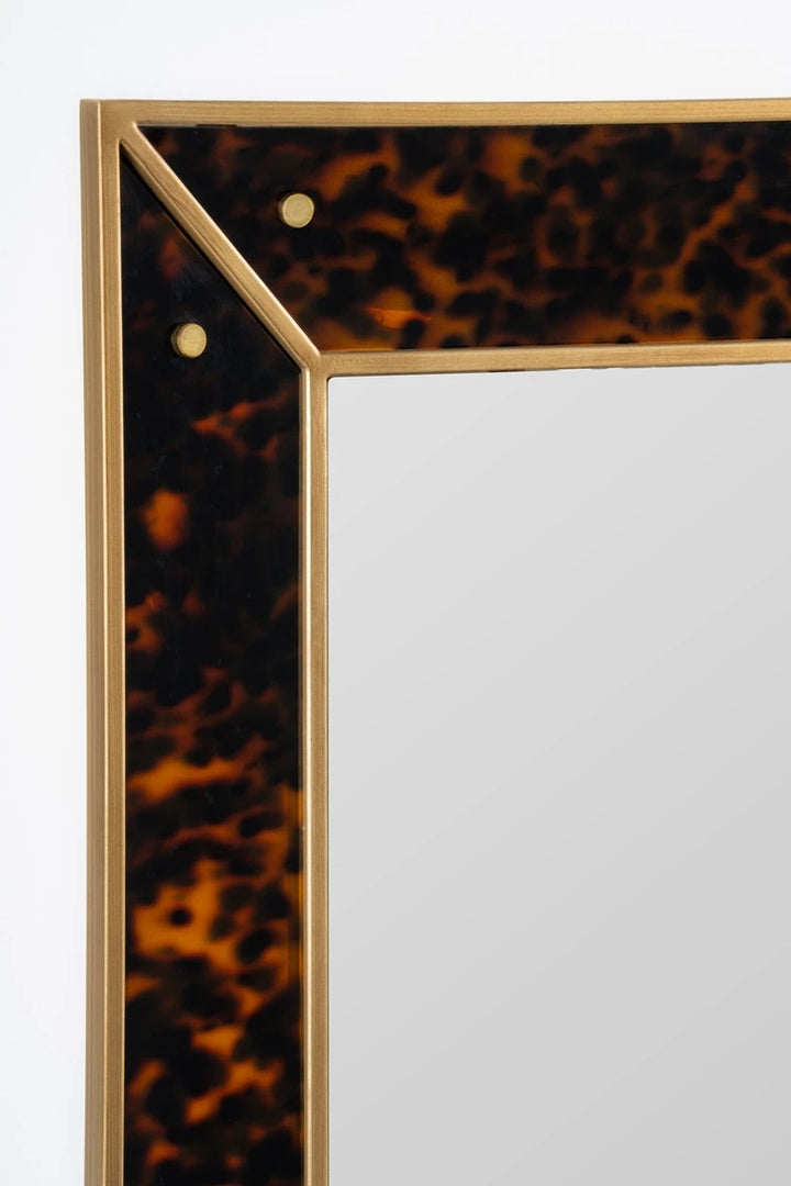 Acrylic Tortoise Mirror