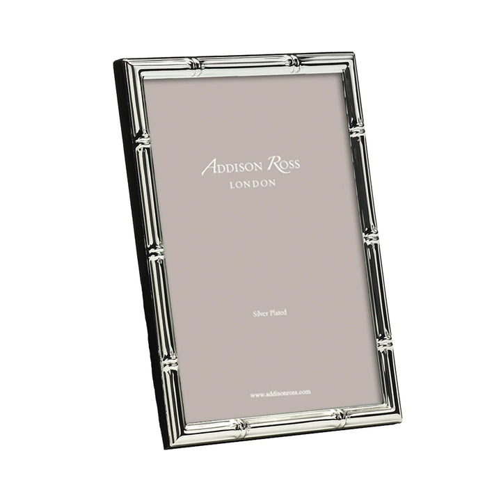 Silver Bamboo Frame