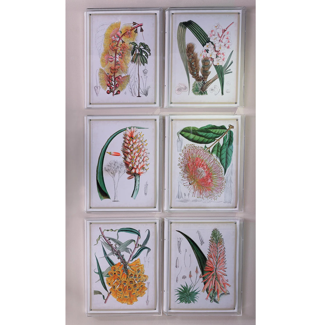 Floral Print IV in Acrylic Frame