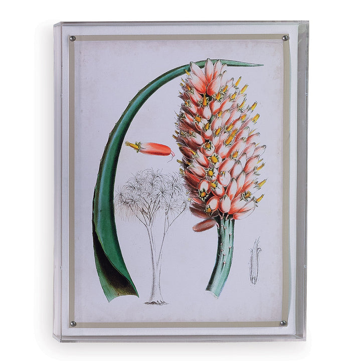 Floral Print III in Acrylic Frame